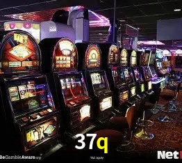 Sistemas de Segurança 37q